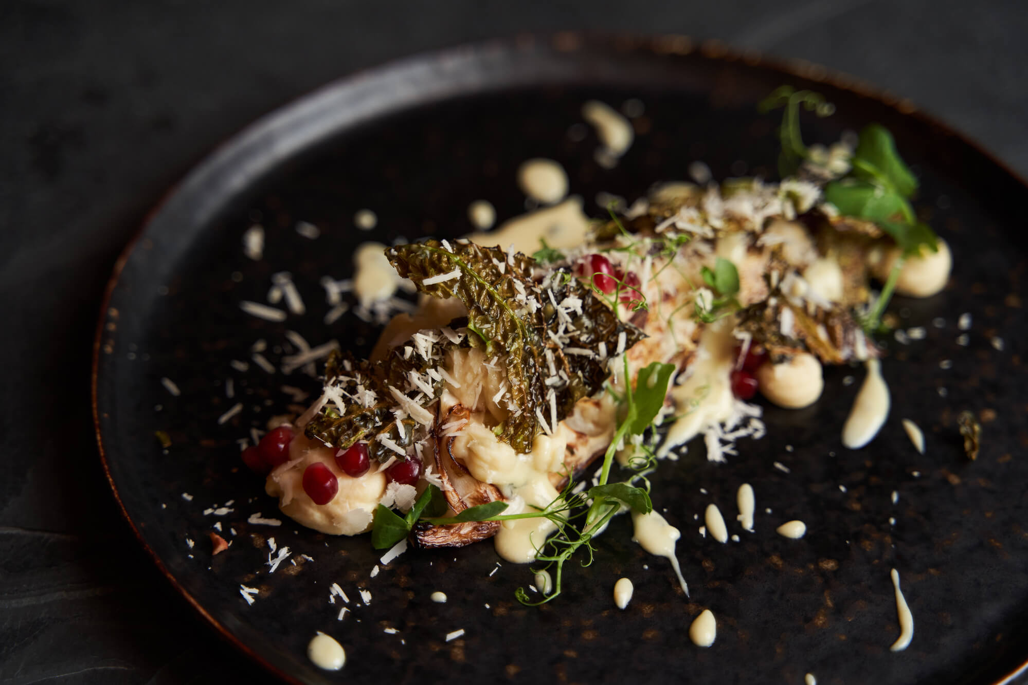 Spitzkohl angerichtet auf einem Teller.