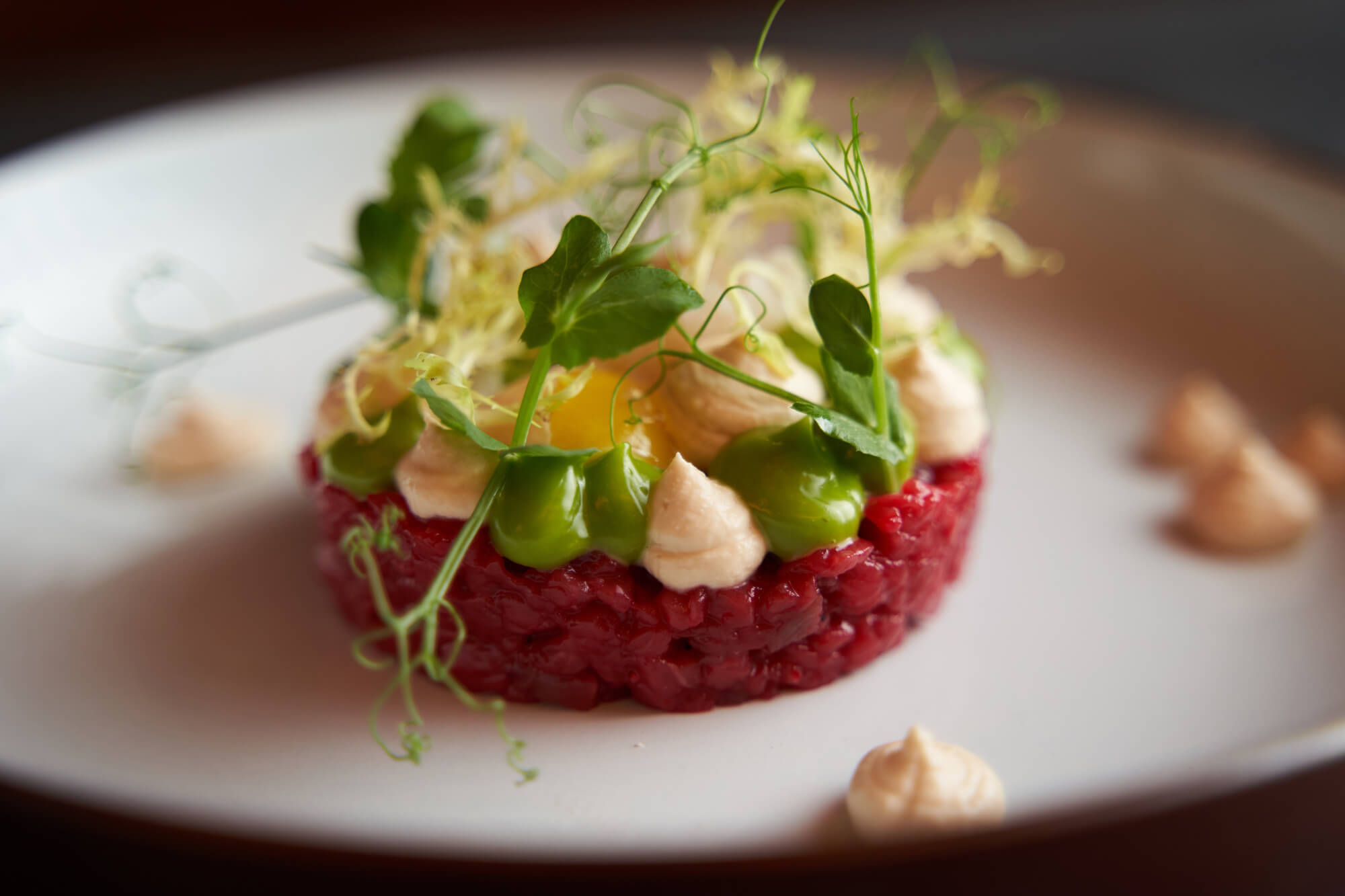 Rindertartar angerichtet auf einem Teller.